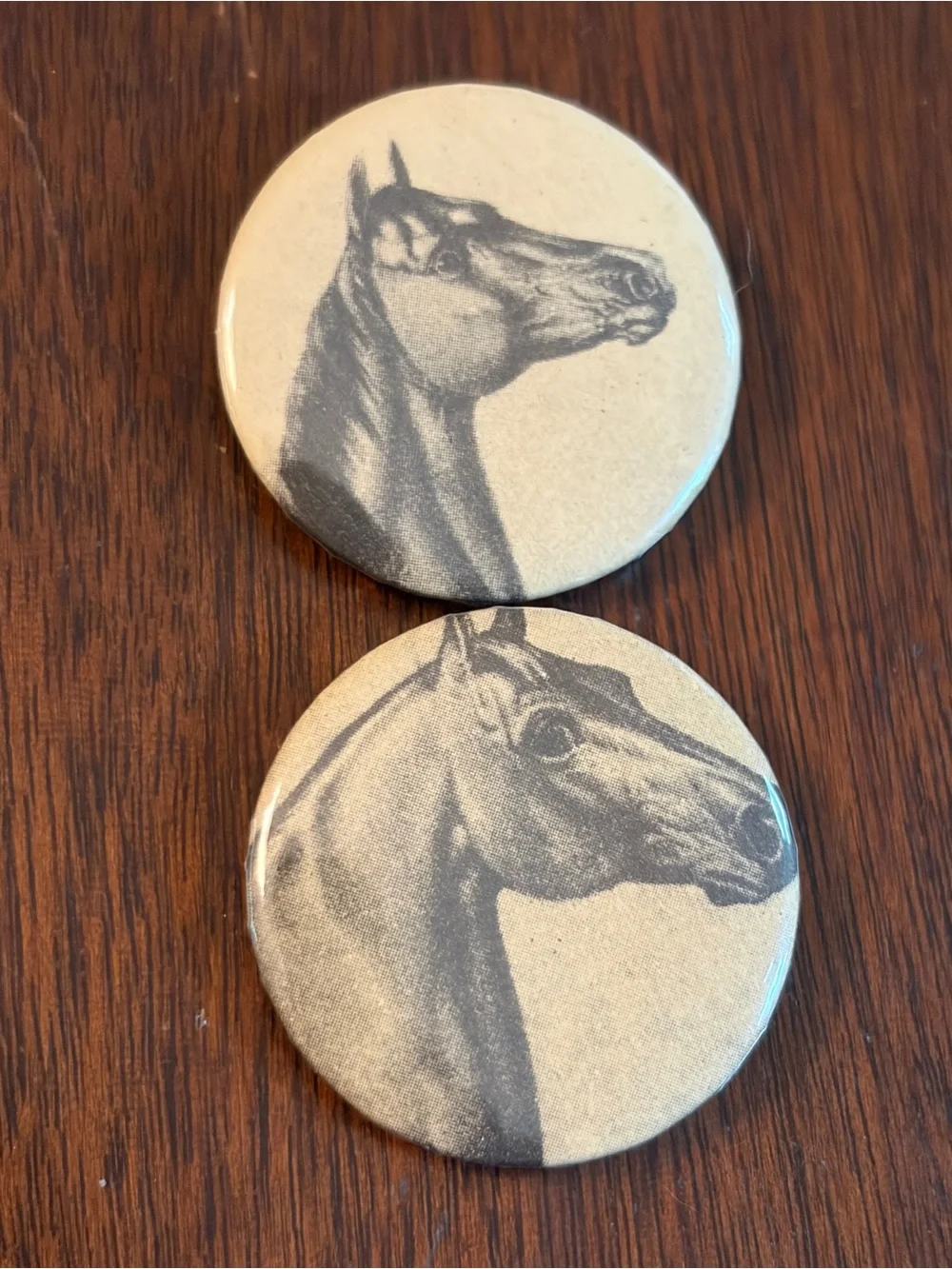 2 Horse Head Motif Buttons Badges Pins Brooches Equestrian Animal Jewelry